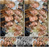 Evenement foto: 862
