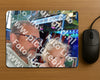 Evenement foto: 744