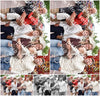Evenement foto: 743