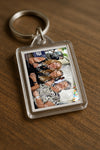 Evenement foto: 743