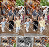 Evenement foto: 742