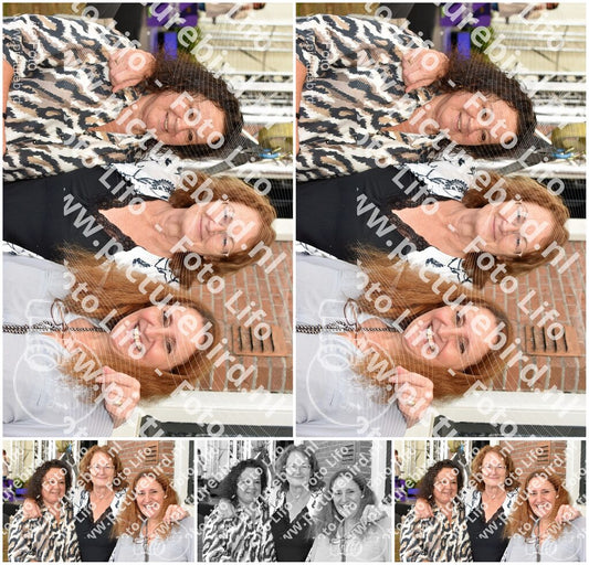 Evenement foto: 741