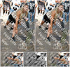 Evenement foto: 868