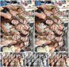 Evenement foto: 868