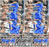 Evenement foto: 867