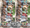 Evenement foto: 867