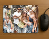 Evenement foto: 867