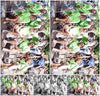 Evenement foto: 867