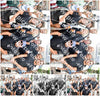 Evenement foto: 867