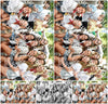 Evenement foto: 866