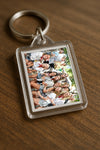 Evenement foto: 866