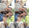 Evenement foto: 866