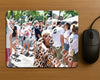 Evenement foto: 866