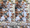 Evenement foto: 865