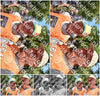 Evenement foto: 865