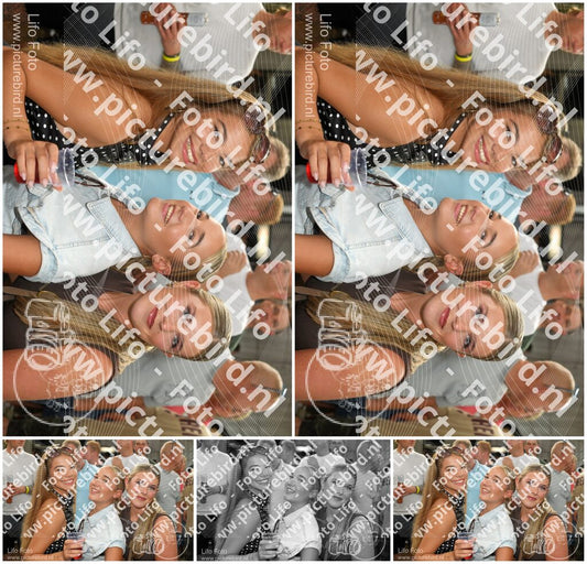 Evenement foto: 313