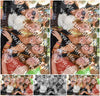 Evenement foto: 312