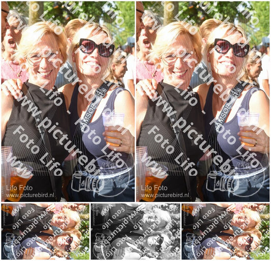 Evenement foto: 311