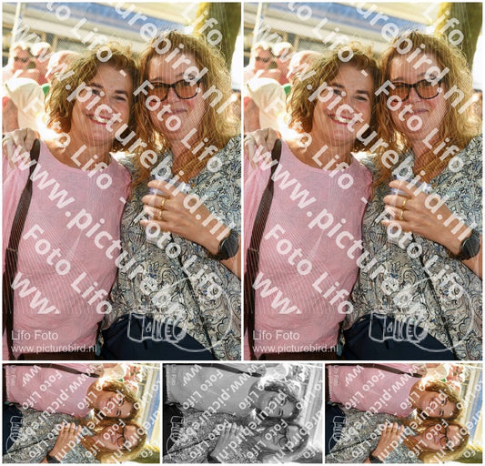 Evenement foto: 311