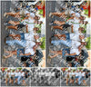 Evenement foto: 309