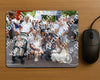 Evenement foto: 297