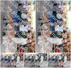 Evenement foto: 284