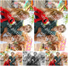 Evenement foto: 284
