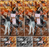 Evenement foto: 1152