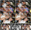 Evenement foto: 1150