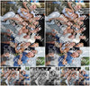Evenement foto: 310