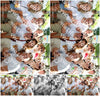 Evenement foto: 310