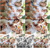 Evenement foto: 310