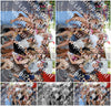 Evenement foto: 310
