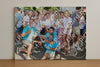 Evenement foto: 308