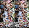 Evenement foto: 308