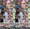 Evenement foto: 308