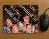 Evenement foto: 1228