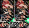 Evenement foto: 1227