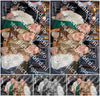 Evenement foto: 1225