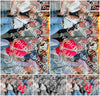 Evenement foto: 1224