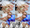 Evenement foto: 1224