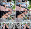 Evenement foto: 1223