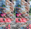 Evenement foto: 1223