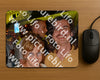 Evenement foto: 1313