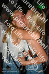 Evenement foto: 1313