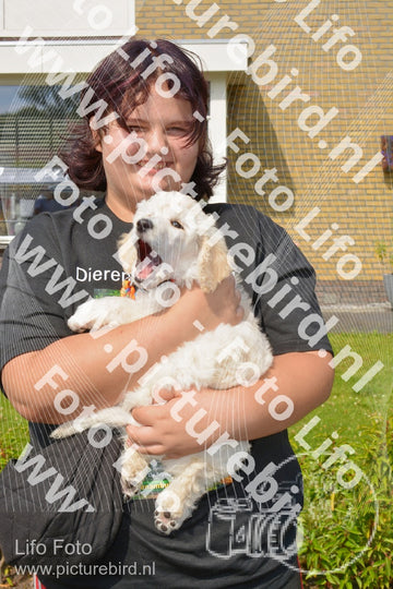 Evenement foto: 1305