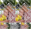 Evenement foto: 1304
