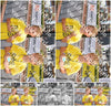 Evenement foto: 1304