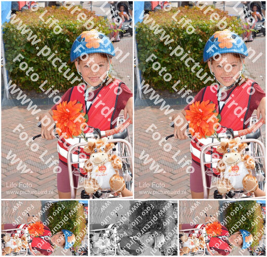 Evenement foto: 1303