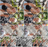 Evenement foto: 1303